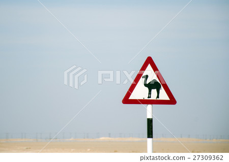 Camel warning sign desert street road dhofar Oman Camel warning sign desert street road dhofar Oman 27309362