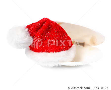tropical concept of new year  Santa Claus hats 27310123
