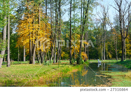 Scenic autumn landscape Scenic autumn landscape 27310864