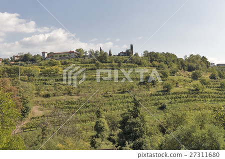 Rural mediterranean landscape with vineyards 27311680