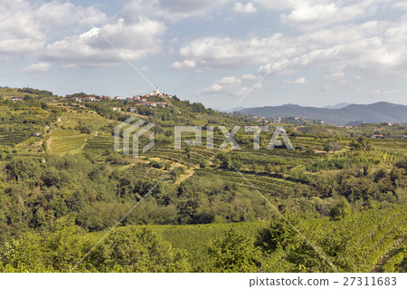 Medieval village Smartno in Western Slovenia. 27311683