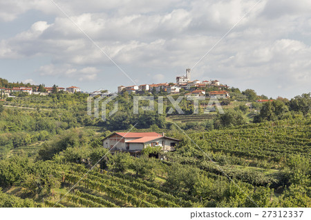 Rural mediterranean landscape with vineyards 27312337