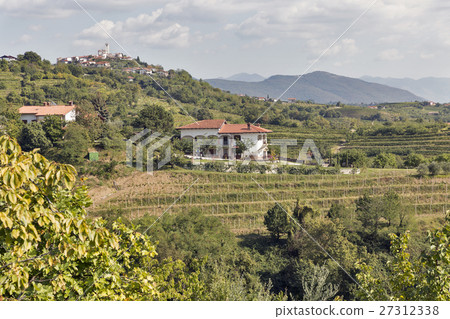 Rural mediterranean landscape with vineyards Rural mediterranean landscape with vineyards 27312338