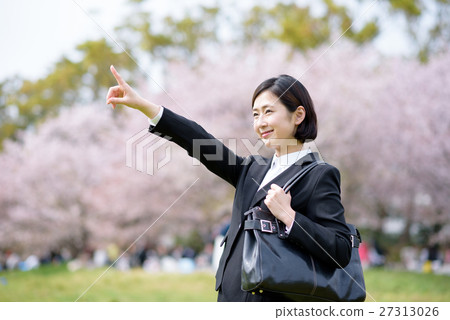 一排櫻花樹和一名新員工的女性女商人 一排櫻花樹和一名新員工的女性女商人 27313026
