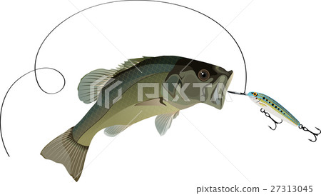 Bass fishing Bass fishing 27313045