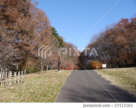 Tokyo Metropolitan Sakuragaoka Park 27313162