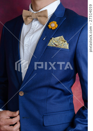 man in blue suit bowtie, pocket square man in blue suit bowtie, pocket square 27314059