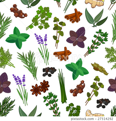 Herbs and spices seamless pattern 27314292