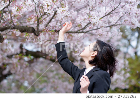 春風吹來的時候，一位新員工的女性商務女人伸手去迎接櫻花 27315262