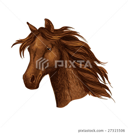 Arabian brown horse race sport emblem Arabian brown horse race sport emblem 27315506