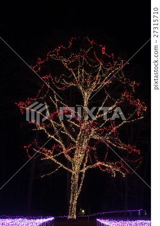 illumination 27315710