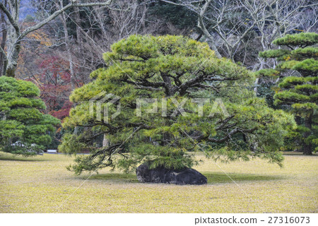 Emperor Taisho Otomi Uematsu，Ise Shrine，Uchimiya 27316073