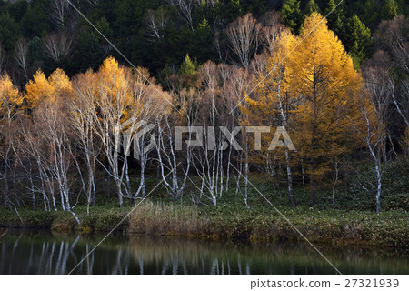 志賀高原Kidoike 27321939