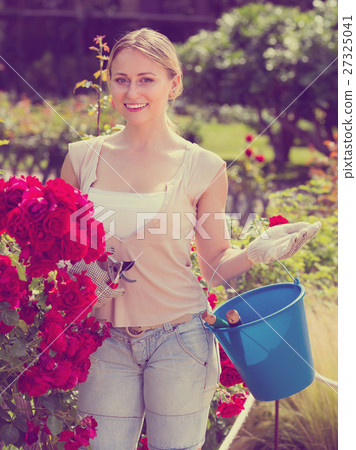 young female gardener caring roses . 27325041