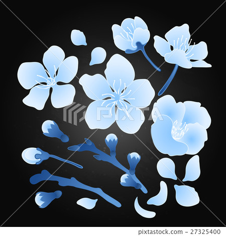 Graphic sakura set 27325400