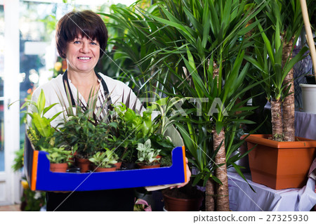 Adult assistant tending numerous green plants 27325930