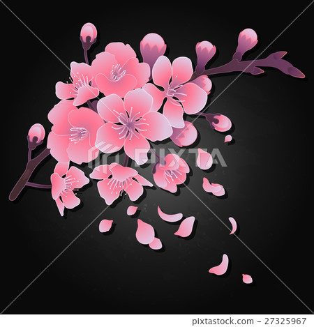 Graphic sakura flowers Graphic sakura flowers 27325967