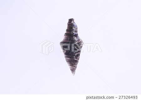 Arrowhead of Jomon period Arrowhead of Jomon period 27326493