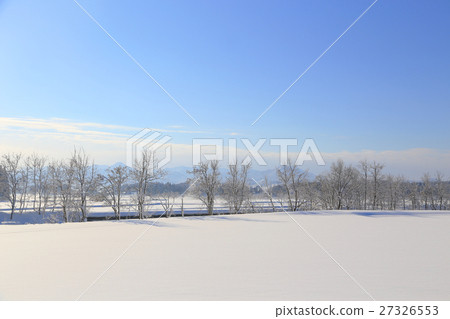 Winter grove 27326553