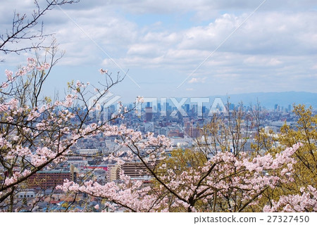 城市遠離櫻花的景色 城市遠離櫻花的景色 27327450