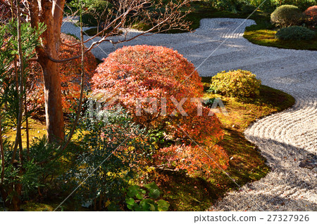 龍潭寺秋葉 27327926