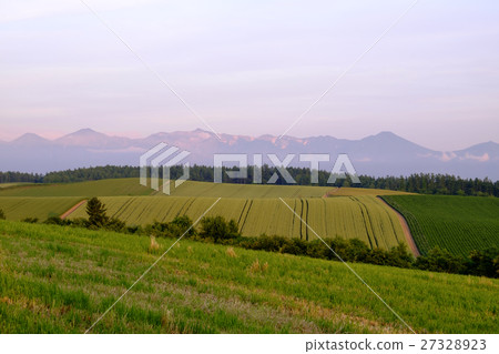 日落山 27328923