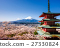在Shinagurayama淺間公園的櫻花和富士山 27330824