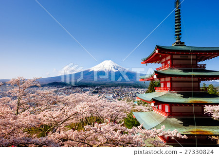 Sakura and Mt. Fuji at Shinagurayama Asama Park Sakura and Mt. Fuji at Shinagurayama Asama Park 27330824