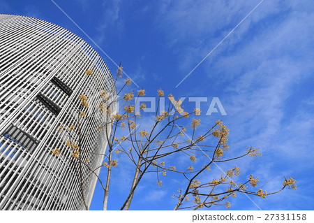 12月的圓形建築和Sendan的水果 27331158