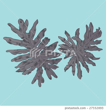 Exotic flowers set. Botanical vector vintage 27332893