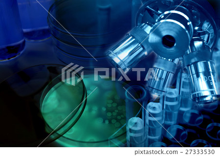 Research image 27333530