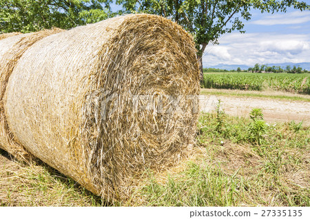 Hay bales. 27335135
