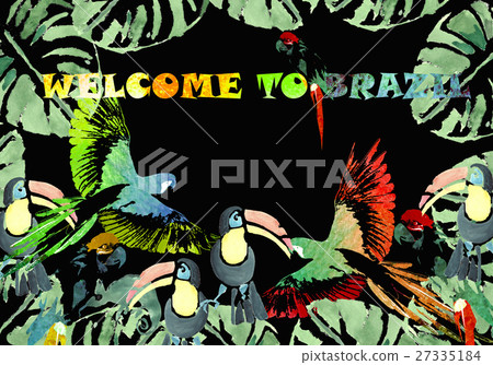 Watercolor banner. Tropical background. 27335184