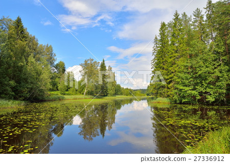 Blue sky, clouds and forest reflected Blue sky, clouds and forest reflected 27336912