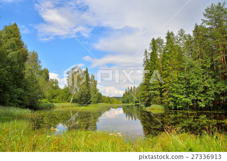 Landscape forest river overgrown with water lilies Landscape forest river overgrown with water lilies 27336913