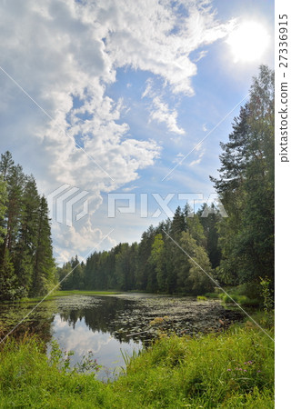 Landscape forest river overgrown with water lilies Landscape forest river overgrown with water lilies 27336915