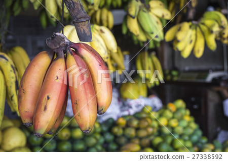 Red, yellow and green bananas  27338592