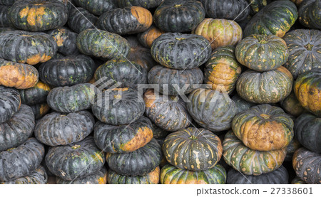 Green pumpkin vegetable of agriculture harvesting 27338601