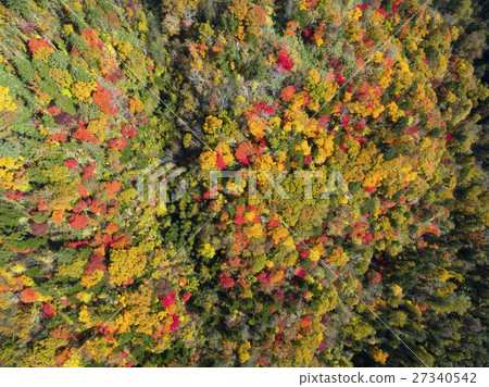 Eniwa Valley in the fall (Aerial photographing overhead view) 27340542
