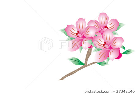 Satsuki - Stock Illustration [27342140] - PIXTA