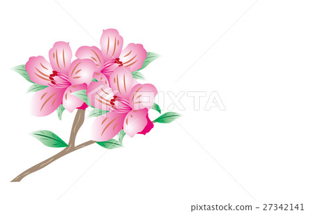 Satsuki Satsuki 27342141