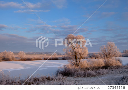 winter morning on the lake 27343136
