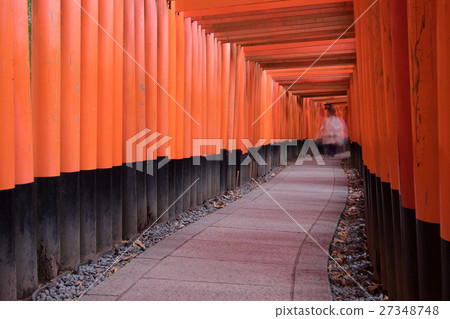 Senbon Torii和Shogunai風景採取在Inari寺廟在伏見ku,京都市 Senbon Torii和Shogunai風景採取在Inari寺廟在伏見ku,京都市 27348748