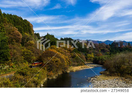 Watarase ravine railway and autumn leaves 27349058