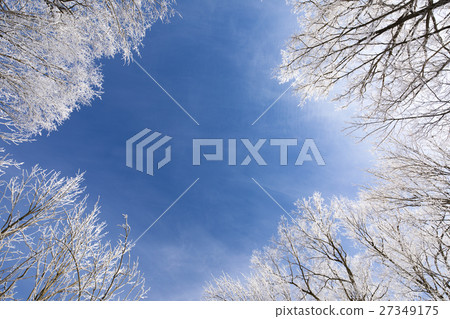 Winterscape color 15 27349175