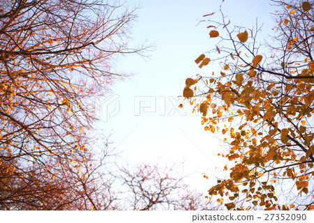 New York City. 27352090