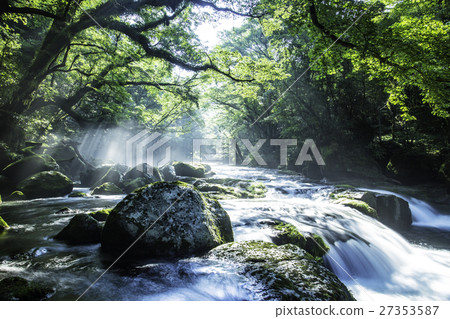 Kikuchi Gorge 27353587