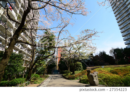 櫻花在練馬區的春天風公園 櫻花在練馬區的春天風公園 27354223
