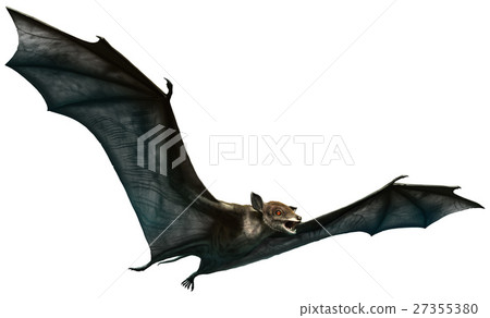 Icaronycteris Icaronycteris 27355380