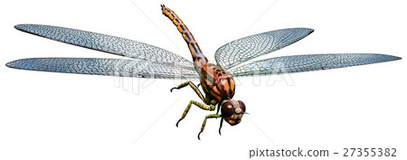 Meganeura Meganeura 27355382